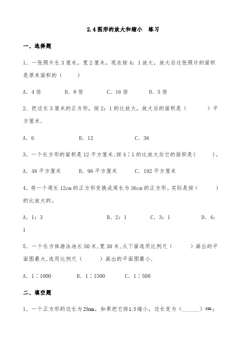 北师大版数学六年级下册 第2单元图形的放大和缩小 同步练习