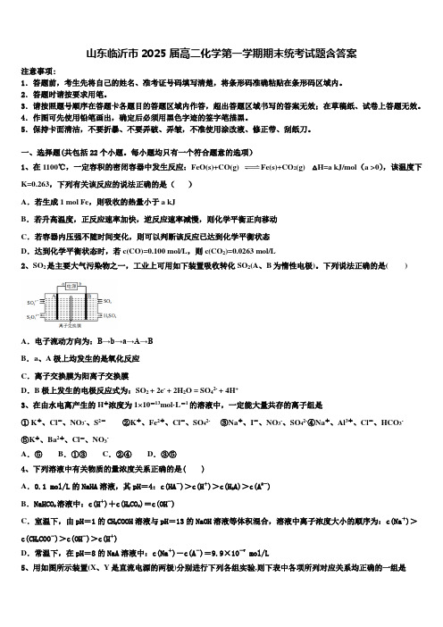 山东临沂市2025届高二化学第一学期期末统考试题含答案