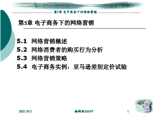 电子商务教案第章 电子商务下的网络营销ppt课件