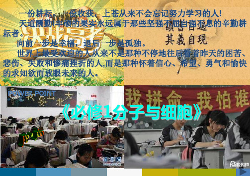 孟德尔的豌豆杂交实验(二)课件