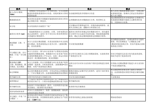 计算机审计技术