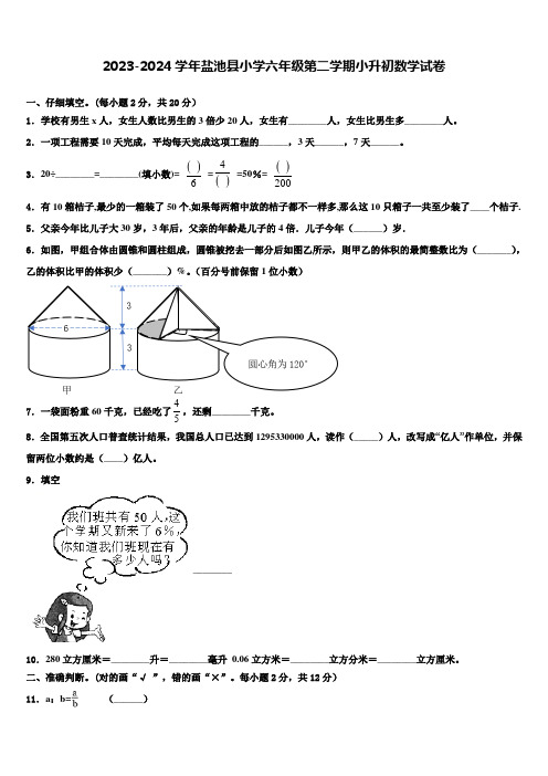 2023-2024学年盐池县小学六年级第二学期小升初数学试卷含解析