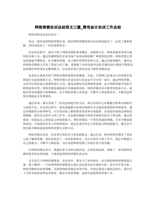 网络营销实训总结范文三篇_费用会计实训工作总结