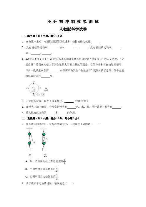 人教版科学小升初考试试题(含答案)