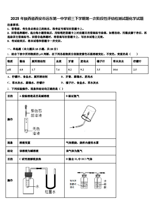 2025年陕西省西安市远东第一中学初三下学期第一次阶段性评估检测试题化学试题含解析