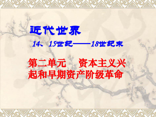 新航路开辟和世界市场的初步开拓