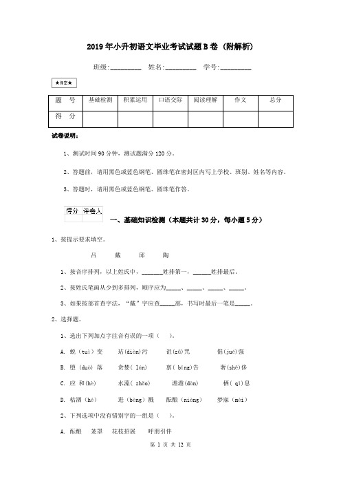 2019年小升初语文毕业考试试题B卷 (附解析)