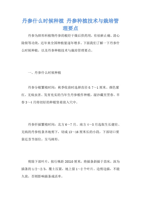 丹参什么时候种植 丹参种植技术与栽培管理要点