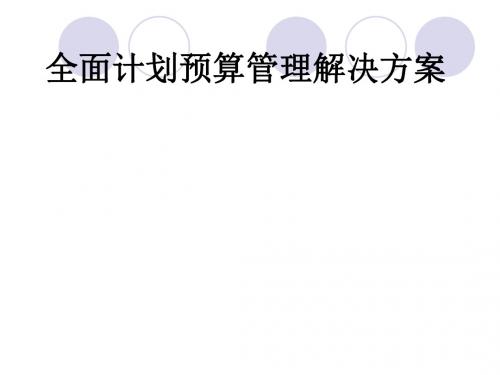 某公司全面计划预算管理解决方案(PPT31张)