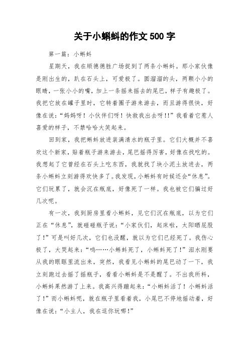 关于小蝌蚪的作文500字_作文