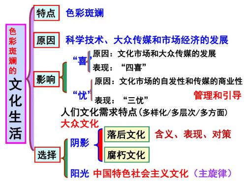 高考复习文化生活四单元PPT课件