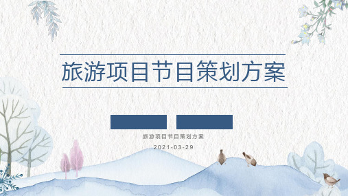 旅游项目节目策划方案