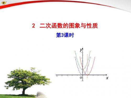 北师大版九年级数学下册第二章2.1二次函数的图象与性质3(共24张PPT)