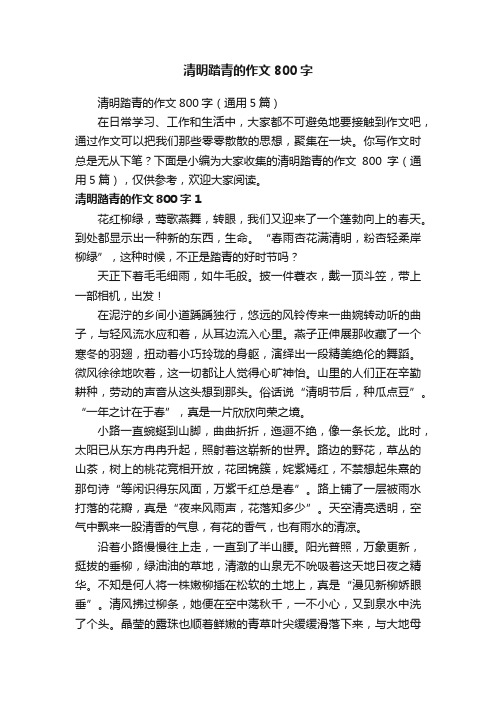 清明踏青的作文800字