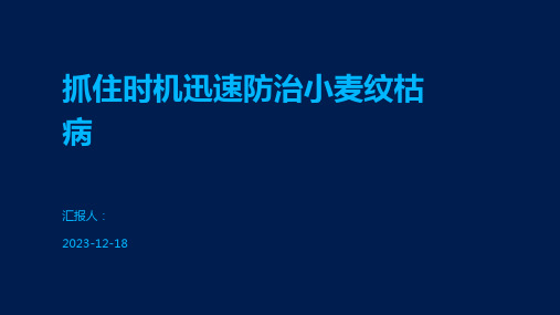 抓住时机迅速防治小麦纹枯病