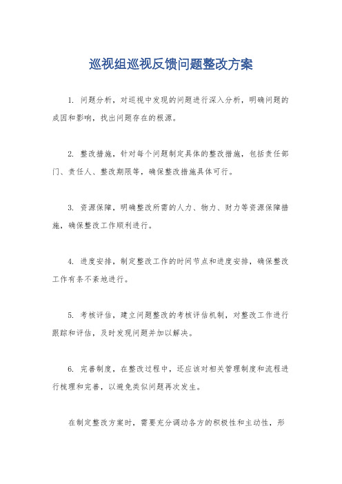 巡视组巡视反馈问题整改方案