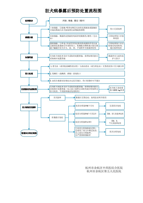 狂犬病暴露后预防处置流程图