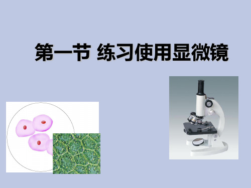 人教版七年级生物 上册 第二单元 第一章 第一节 练习使用显微镜 课件