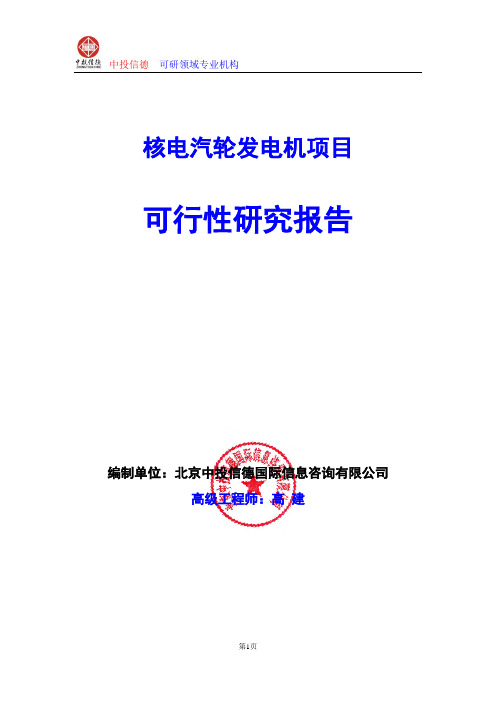 核电汽轮发电机项目可行性研究报告编制格式说明(模板型word)