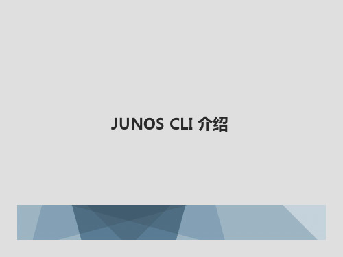 Juniper_JUNOS_CLI_介绍