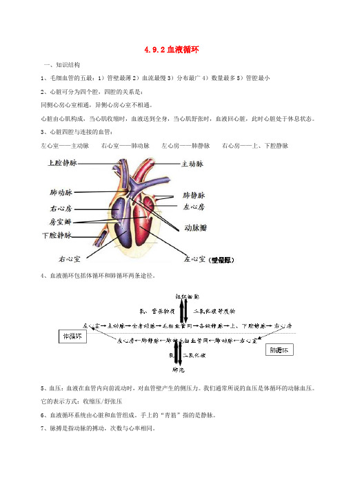 七年级生物下册4.9.2血液循环知识梳理新版北师大