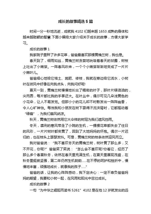 成长的故事精选5篇