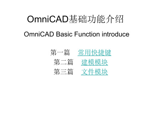 OmniCAD基础功能介绍(OmniCADBasicFunctionintroduce)分析