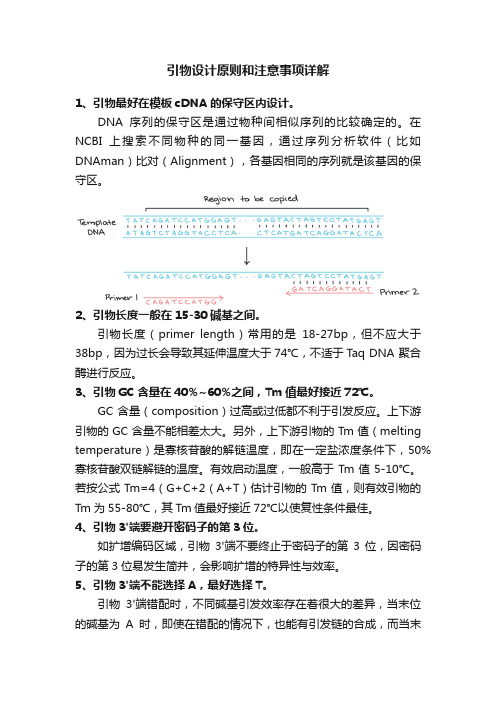 引物设计原则和注意事项详解