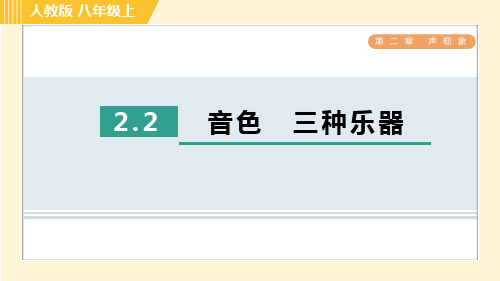 人教版八年级上册物理同步培优训练第2章声现象  音色、三种乐器