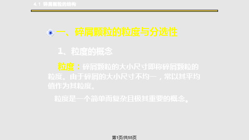 碎屑岩的结构及粒分析PPT课件