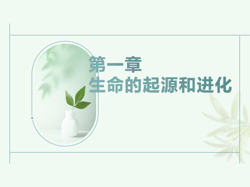 第一章+生命的起源和进化(章末复习课件)2023-2024学年八年级生物下册同步精品课堂(济南版)