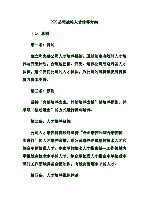 某某公司战略人才培养方案说明