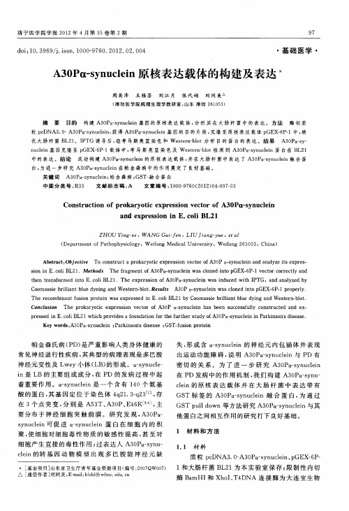 A30Pα-synuclein原核表达载体的构建及表达