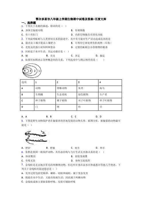 鄂尔多斯市八年级上学期生物期中试卷及答案-百度文库