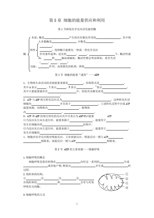 必修一 高中生物 第五章知识点