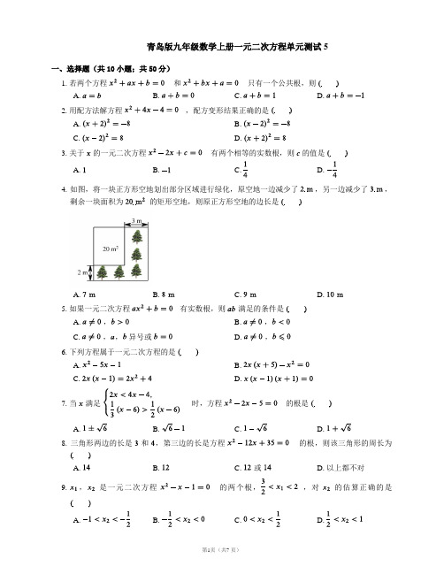 青岛版九年级数学上册一元二次方程单元测试5