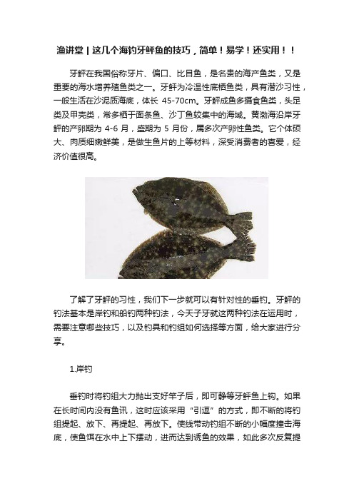 渔讲堂丨这几个海钓牙鲆鱼的技巧，简单！易学！还实用！！