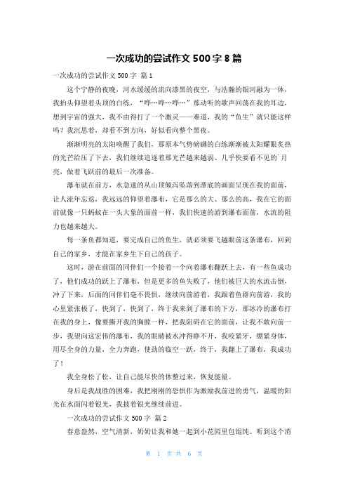 一次成功的尝试作文500字8篇