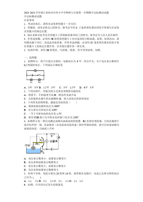 2023-2024学年浙江省杭州市育才中学物理九年级第一学期期中达标测试试题含解析