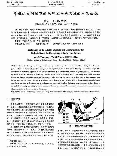 曹娥江大闸闸下淤积现状分析及减淤对策初探