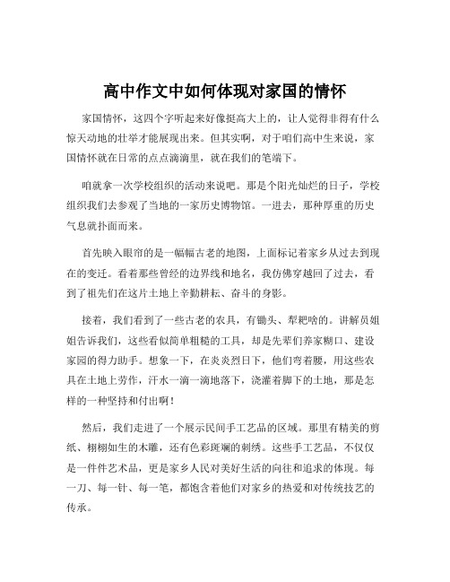 高中作文中如何体现对家国的情怀