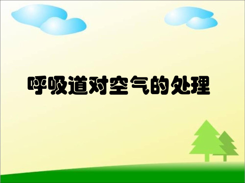 人教版七年级下册第三章人体的呼吸_第一节呼吸道对空气的处理课件 (共31张PPT)