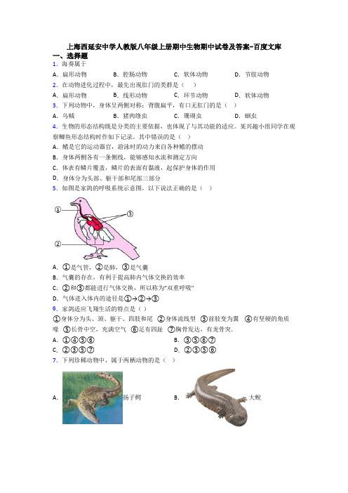 上海西延安中学人教版八年级上册期中生物期中试卷及答案-百度文库