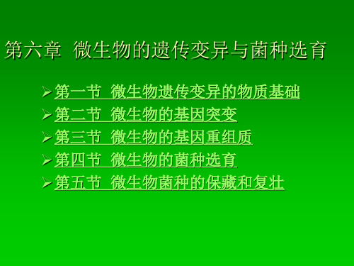 第六章微生物的遗传变异与菌种选育