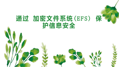 通过 加密文件系统 EFS  保护信息安全