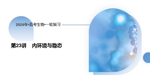 2024届高三生物一轮复习课件：内环境与稳态