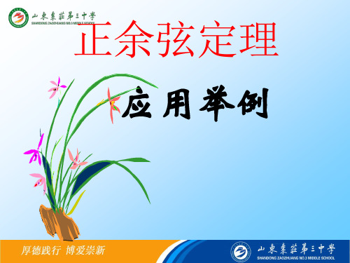 正余弦定理的应用举例