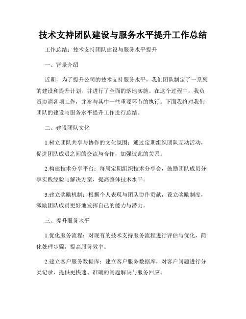 技术支持团队建设与服务水平提升工作总结