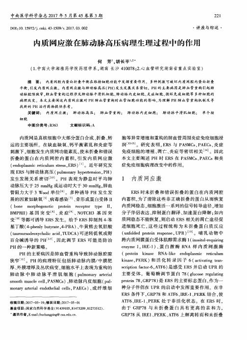 内质网应激在肺动脉高压病理生理过程中的作用