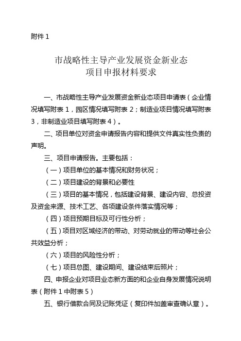 市战略性主导产业发展资金新业态项目申报材料要求